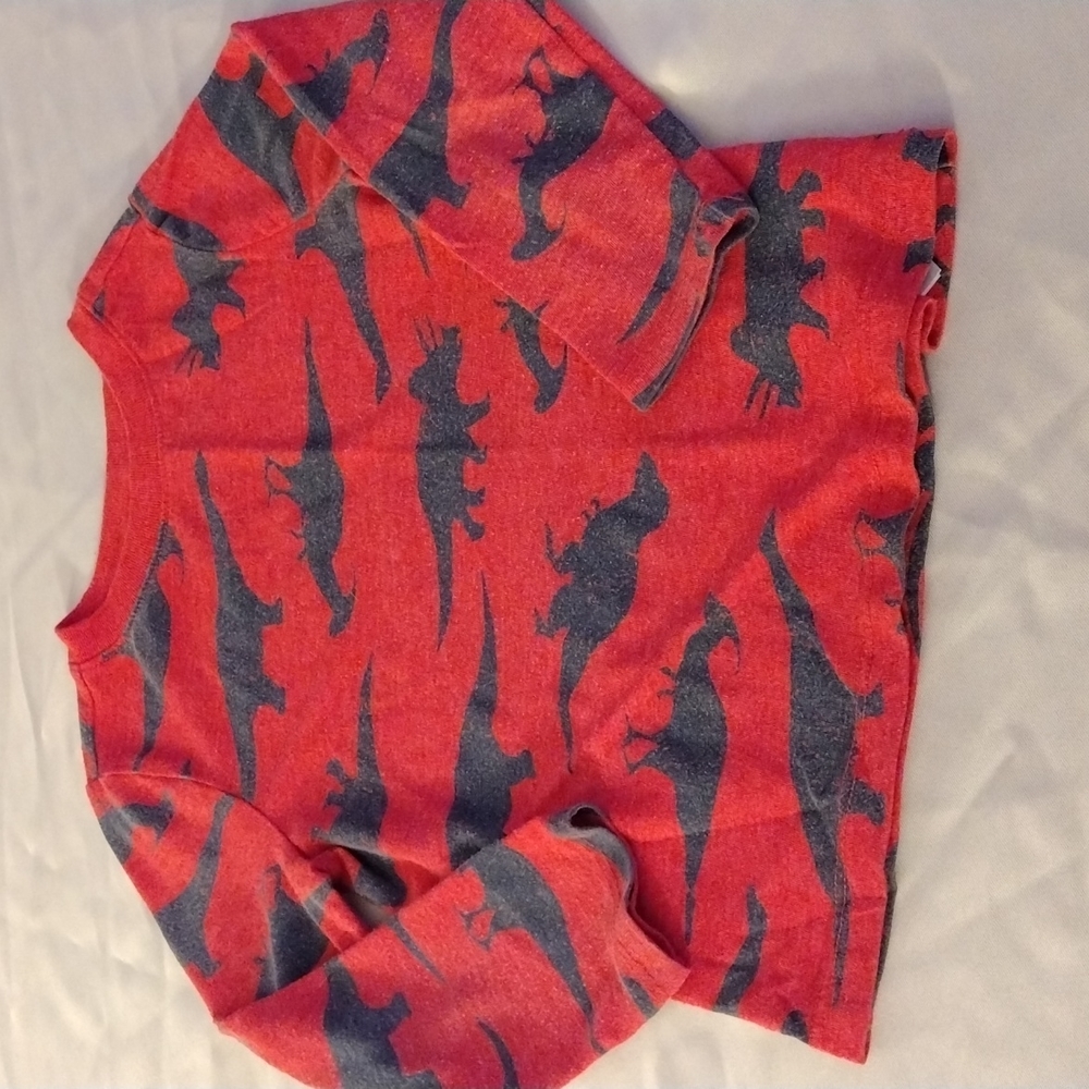Boys dinosaur long sleeve shirt